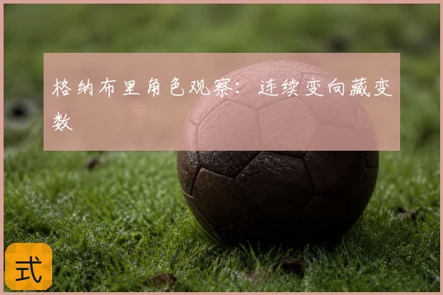 格纳布里角色观察：连续变向藏变数